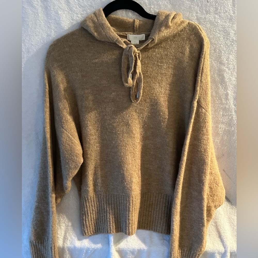 Wooly fuzzy tan hoodie